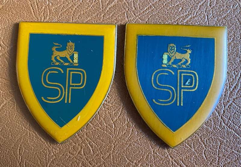 STATE PRESIDENTS GUARD -1ST ISSUE FLASH PAIR- NO PINS