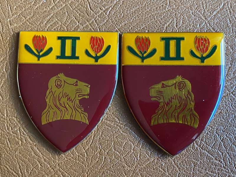 2 REGT. DE LA REY FLASH PAIR- NO PINS