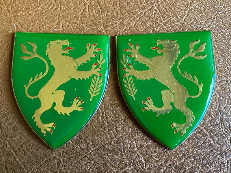 REGT. HOEVELD FLASH PAIR- NO PINS
