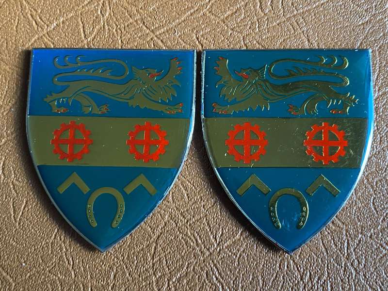 PIETERSBURG COMMANDO FLASH PAIR-RED TONGUE TYPE- NO PINS