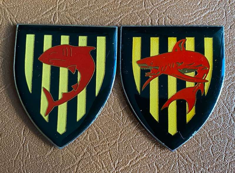 UMGENI COMMANDO 1ST AND 2ND FLASHES- NO PINS