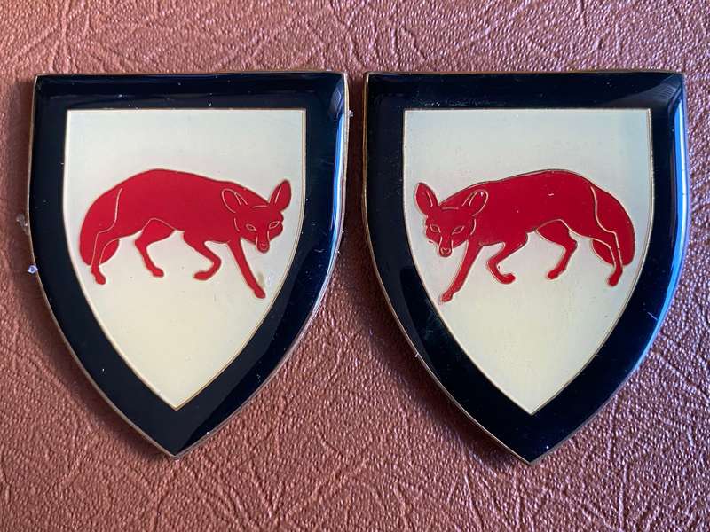 SOUTH COAST COMMANDO FLASH PAIR- NO PINS