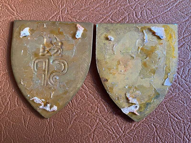 STATE PRESIDENTS GUARD -1ST ISSUE FLASH PAIR- NO PINS