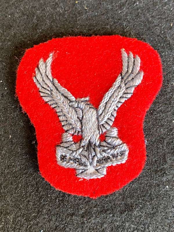 1 SWA SQUADRON (AIR FORCE) SENIOR OFFICERS BERET BADGE