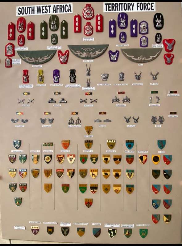 1 SWA SQUADRON (AIR FORCE) SENIOR OFFICERS CAP BADGE