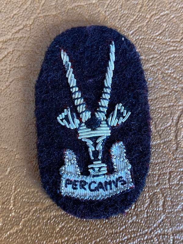 SERGEANT MAJOR OF THE S.W.A.T.F. BERET BADGE(SMALLER)- BLACK BACKING