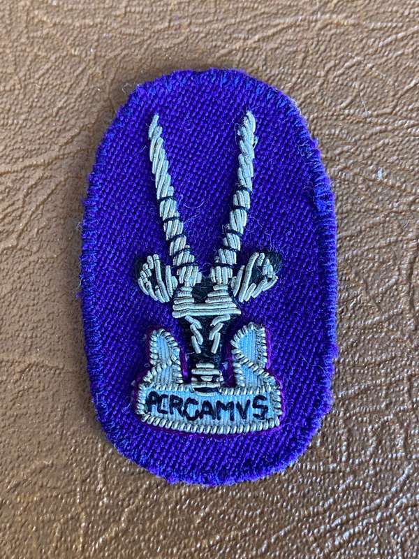 S.W.A.T.F. MAUVE CHAPLAINS OFFICERS BERET BADGE