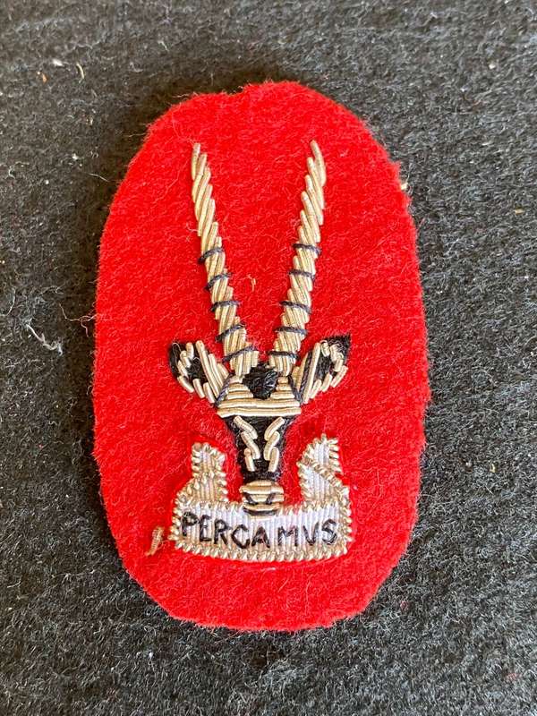 S.W.A.T.F. SENIOR OFFICERS (COLONELS) STAFF QUALIFIED, BERET BADGE