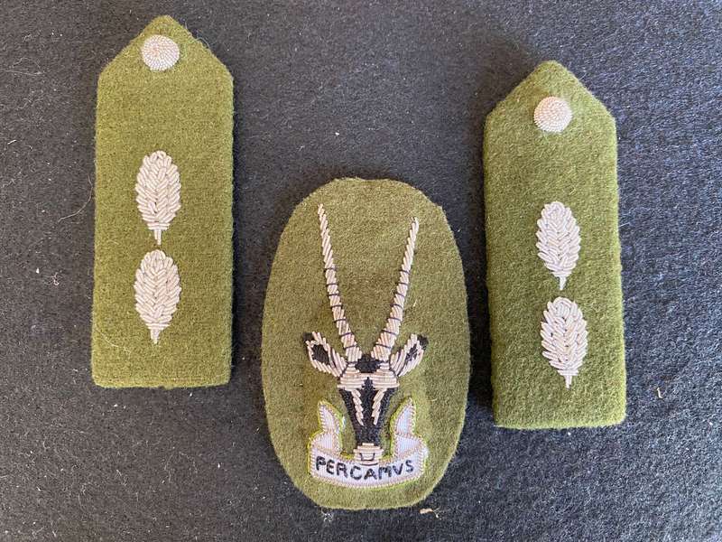 S.W.A.T.F. SENIOR OFFICERS (COLONELS) CAP AND GORGET PATCHES-NON STAFF QUALIFIED