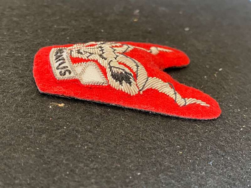 S.W.A.T.F. AREA FORCE GENERAL OFFICERS (BRIGADIERS AND GENERALS) CAP BADGE- PADDED