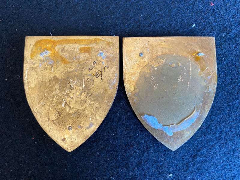 REGT. PRESIDENT STEYN FLASH PAIR- NO PINS
