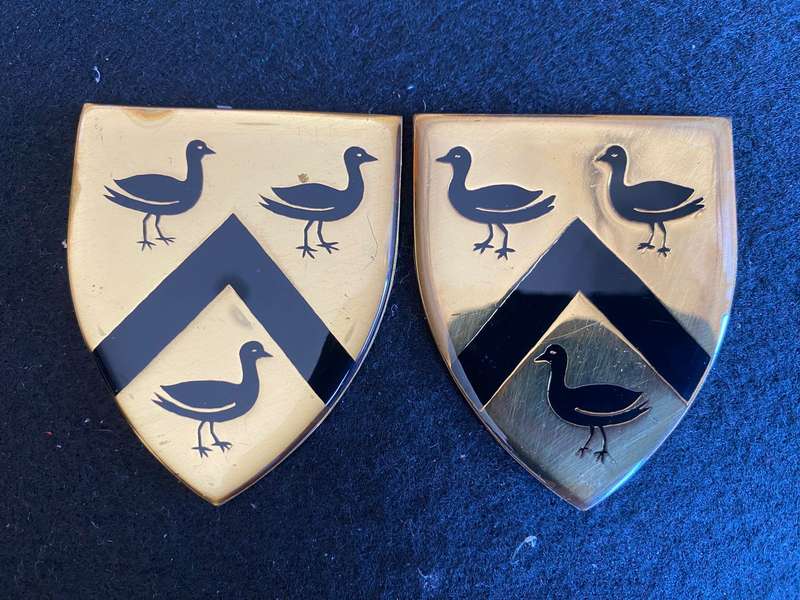 REGT. PRESIDENT STEYN FLASH PAIR- NO PINS