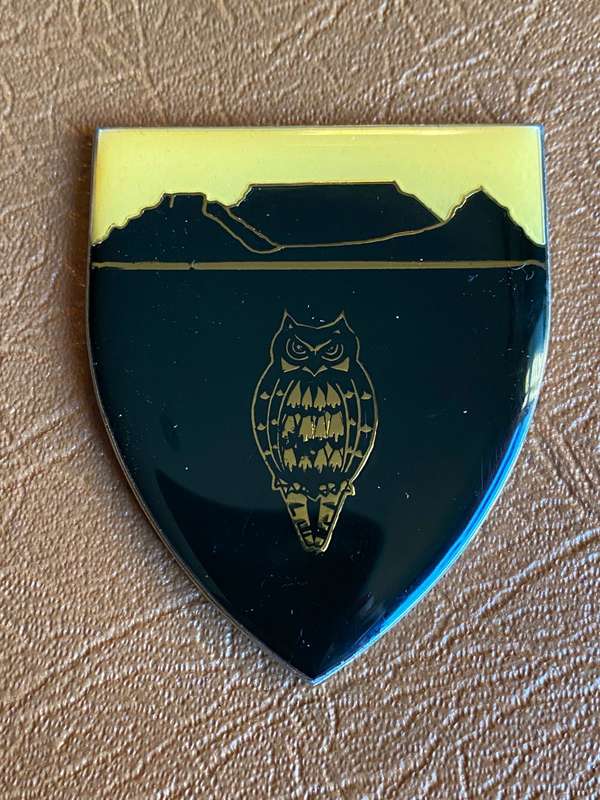 SA MILITARY INTELLIGENCE CAPE FLASH- NO PINS