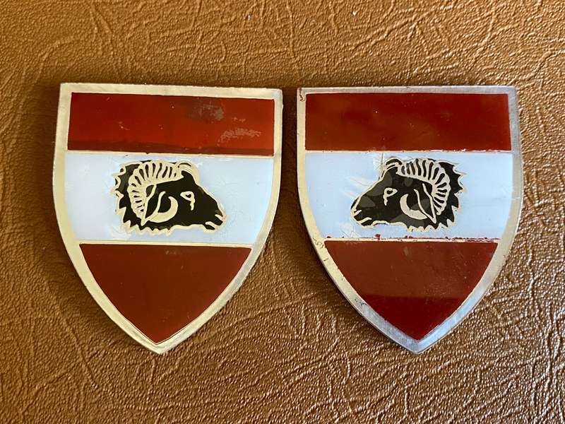 SWA BO NOSSOB COMMANDO PERSPEX- 1ST ISSUE PAIR OF FLASHES-OWEN F549/550- NO PINS