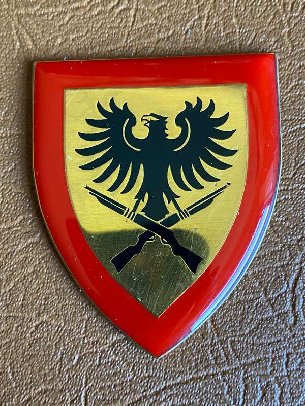 SWA 913 BATTALION,FULL SIZE FLASH- NO PINS
