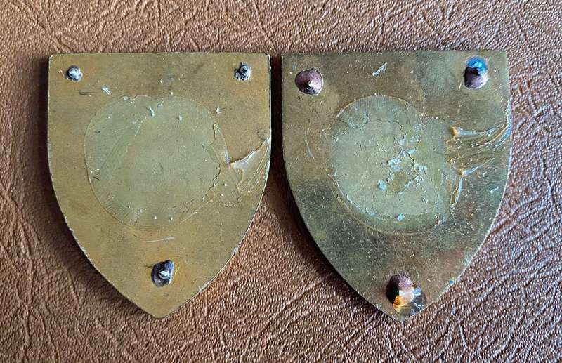 1 BATTALION CISKEI FORCES FLAH PAIR- NO PINS/ COLOUR VARIATIONS