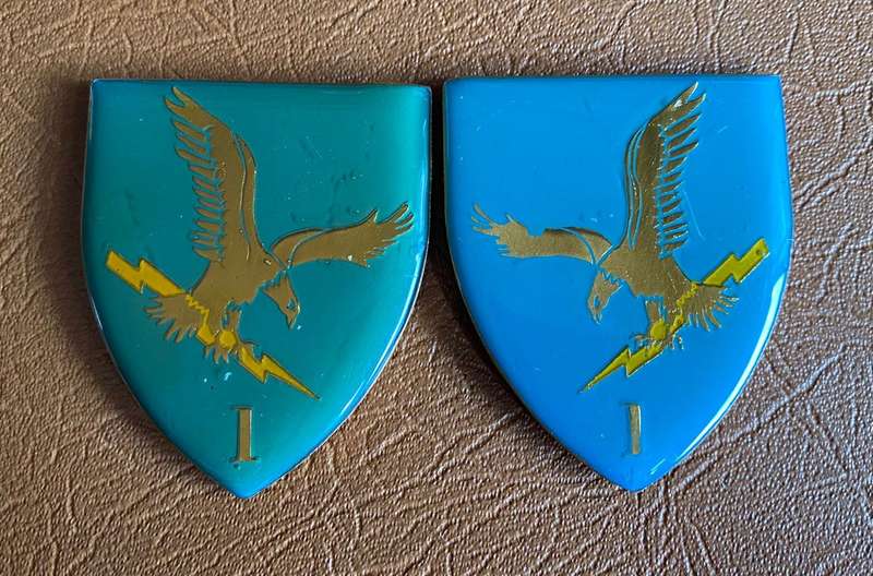 1 BATTALION CISKEI FORCES FLAH PAIR- NO PINS/ COLOUR VARIATIONS