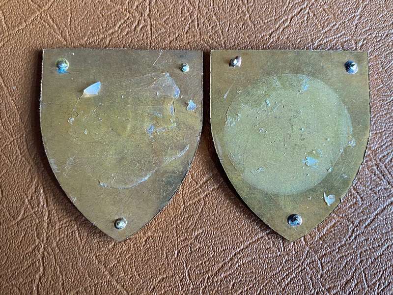 CISKEI FORCES ( POLICE & ARM) FLASH PAIR - NO PINS