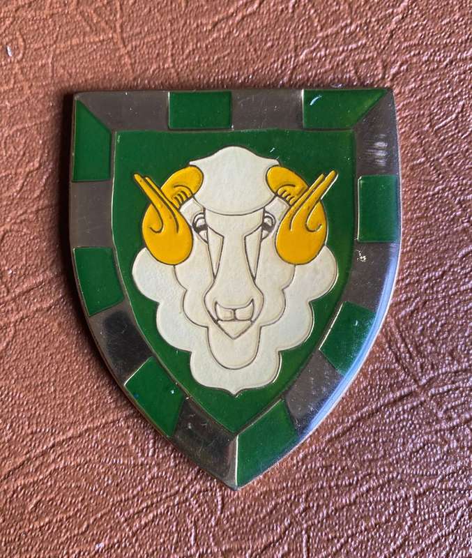 REGT. GROOT KAROO FLASH- NO PINS