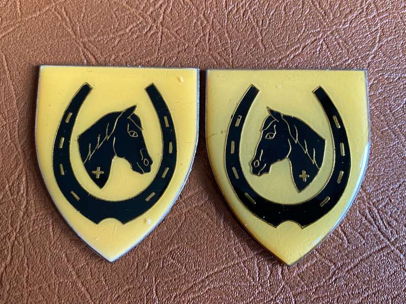 SADF EQUESTRIAN CENTRE FLASH PAIR- NO PINS
