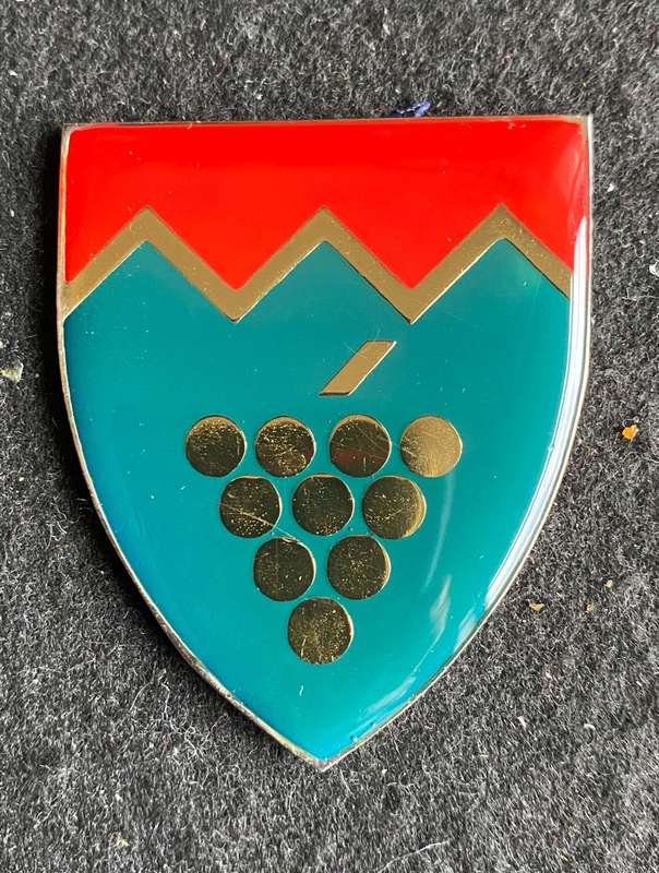 REGT. BOLAND FLASH- NO PINS
