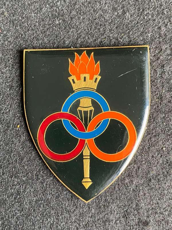 SERVICES SCHOOL FLASH- NO PINS