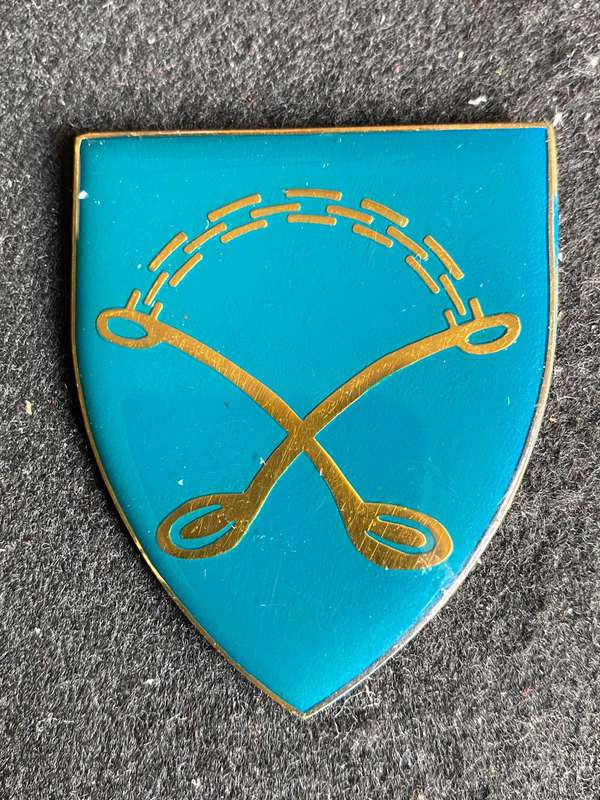 113 BATTALION FLASH- NO PINS