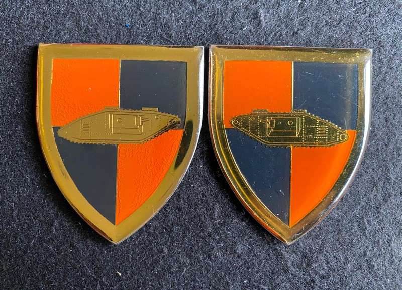 SA SCHOOL OF ARMOUR-GOLD TYPE,FLASH PAIR- NO PINS