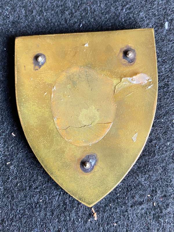 CHIEF OF THE SADF WHITE CENTRE TYPE FLASH-NO PINS-OWEN NO F 475