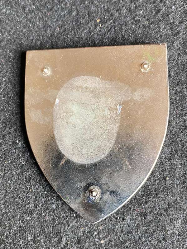 CHIEF OF THE SADF GOLD CENTRE TYPE FLASH- NO PINS- OWEN NO F 476
