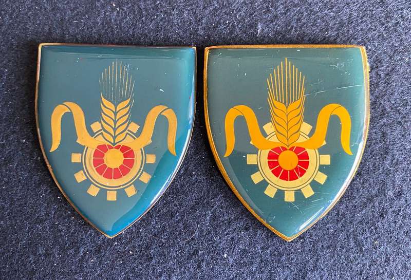 SA QUATERMASTER GENERAL-YELLOW AND GOLD FLASHES-SOLD TOGETHER- NO PINS