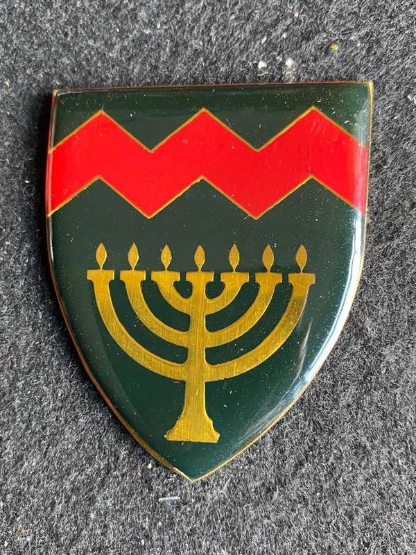 POTCH. UNIVERSITY REGT. FLASH- NO PINS