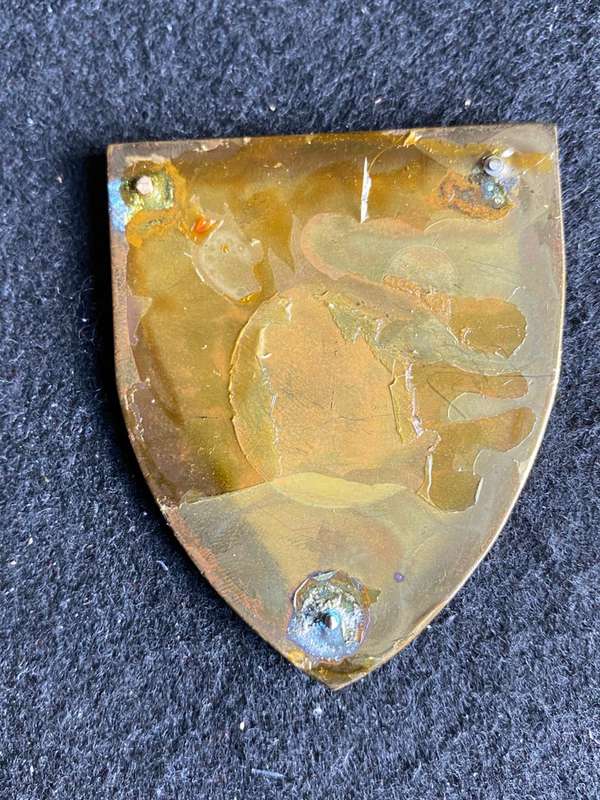 POTCH. UNIVERSITY REGT. FLASH- NO PINS