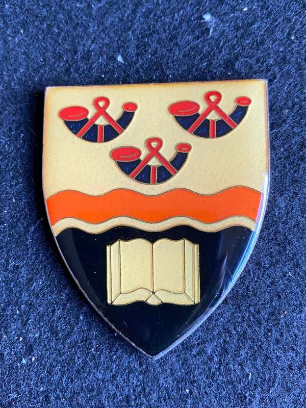 UNIVERSITY OF THE OFS REGT. FLASH- NO PINS