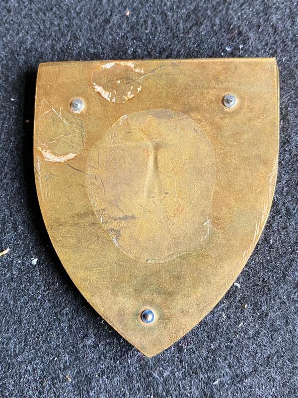 REGT. VAAL RIVER FLASH- NO PINS