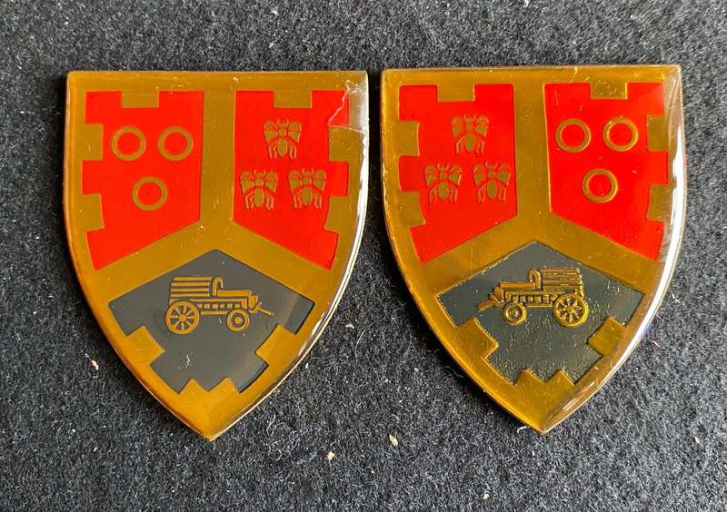 UNIVERSITY OF PRETORIA MILITARY UNIT FLASH PAIR- NO PINS