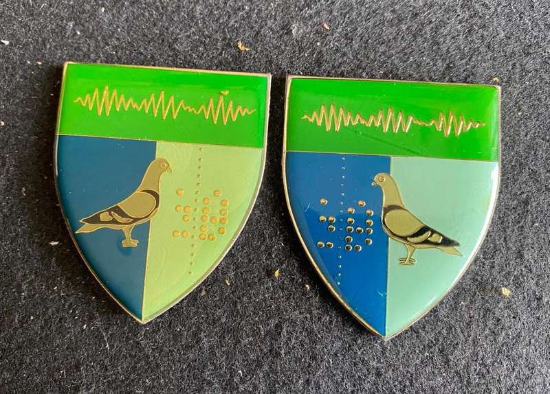 2 SIGNAL REGT. FLASH PAIR-SILVER TYPE- NO PINS