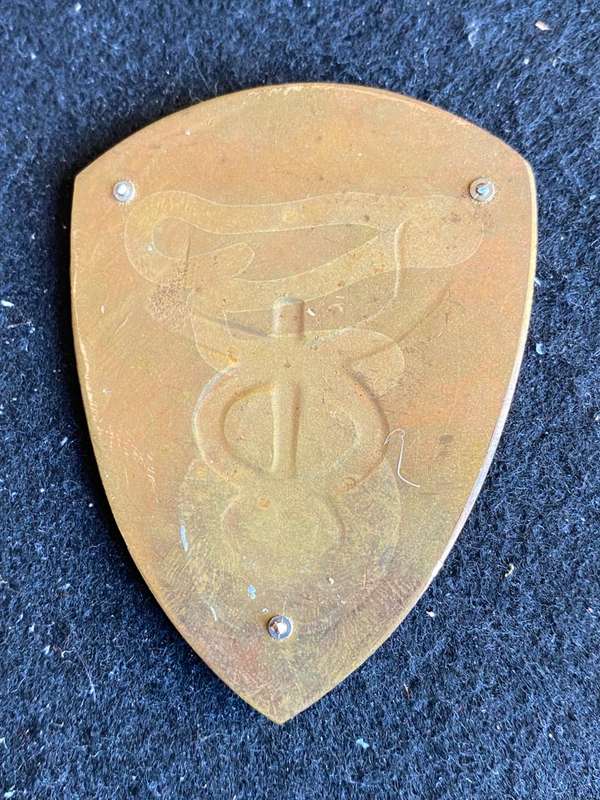 10 FIELD AMBULANCE FLASH- NO PINS