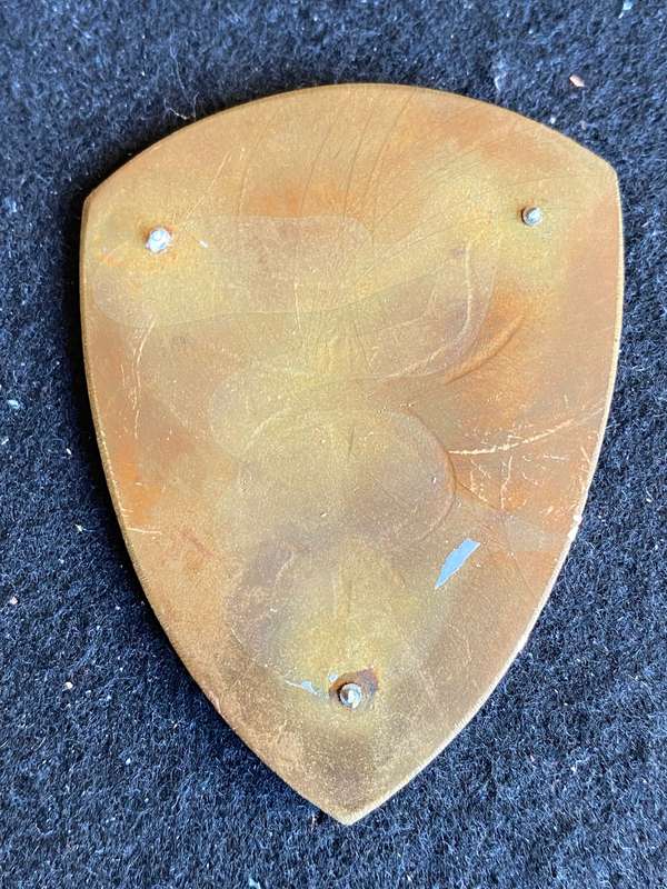 13 FIELD AMBULANCE FLASH- NO PINS