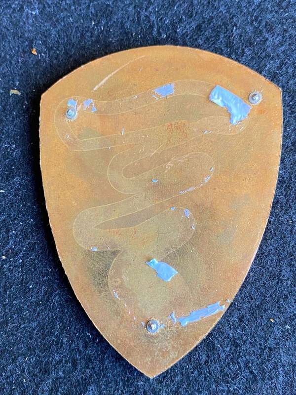 20 FIELD AMBULANCE FLASH- NO PINS