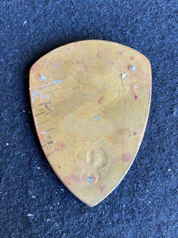 19 FIELD AMBULANCE FLASH- NO PINS