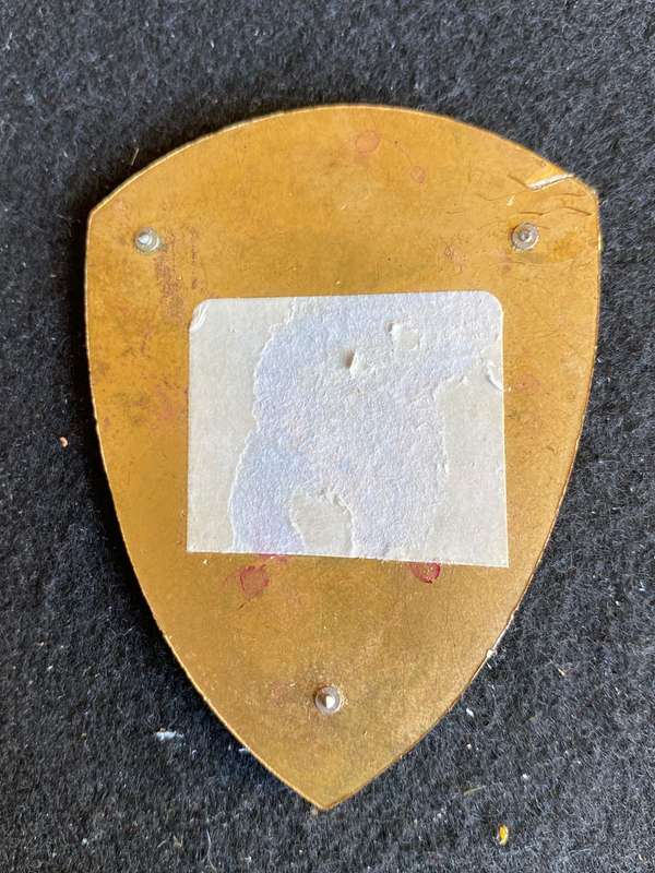 1 FIELD AMBULANCE FLASH- NO PINS