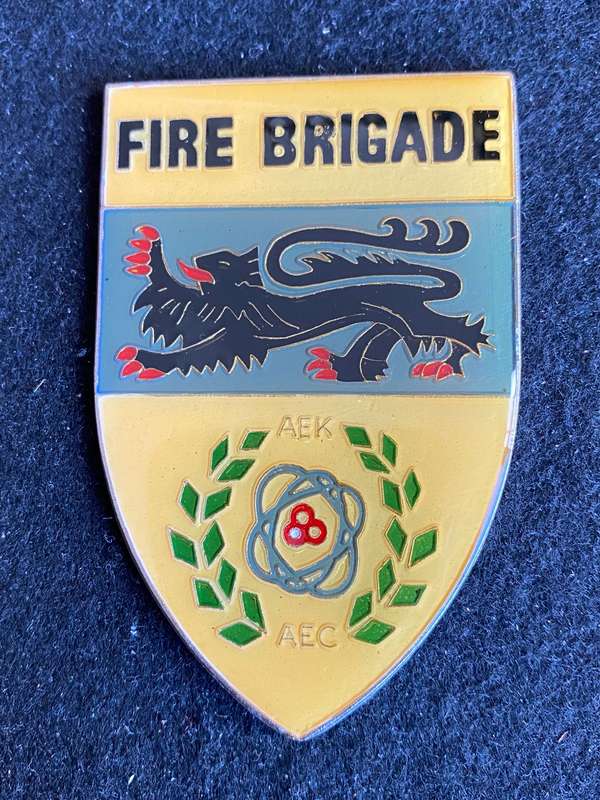 AFRICAN EXPLOSIVE & CHEMICAL INDUSTRIES FIRE BRIGADE (IN ENGLISH) NO F 1039 IN OWEN- NO PINS