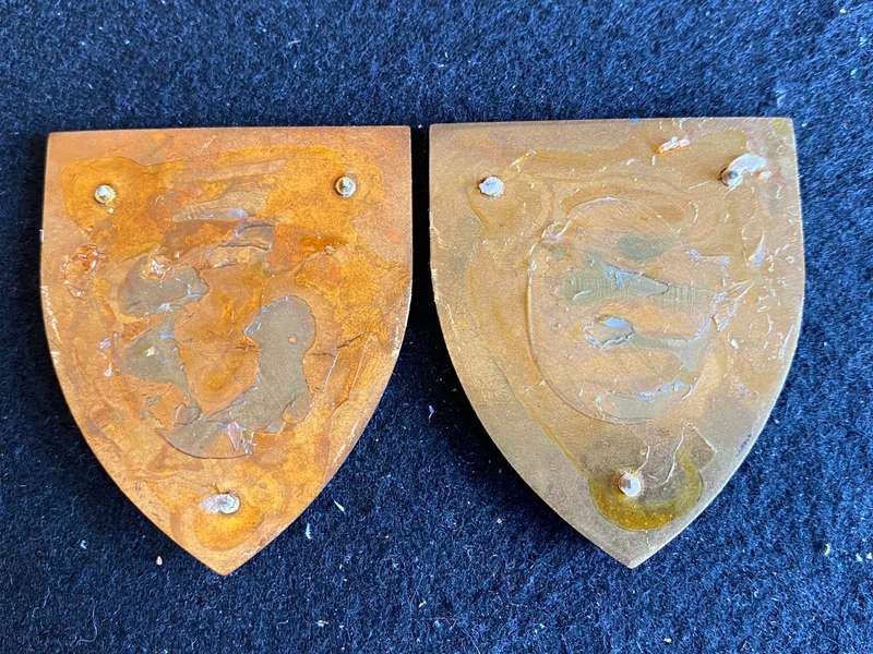 SA ARMY LOGISTIC COMMAND FLASH PAIR-LIGHT BLUE TYPE- NO PINS