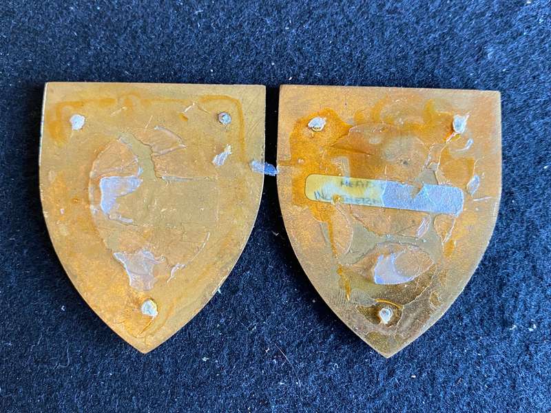 NORTHERN TRANSVAAL COMMAND FLASH PAIR- GOLD TYPE-OWEN NO F 425 AND F 416