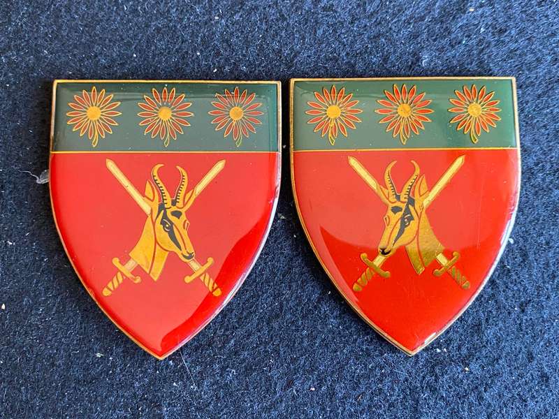 NORTHERN TRANSVAAL COMMAND FLASH PAIR- GOLD TYPE-OWEN NO F 425 AND F 416
