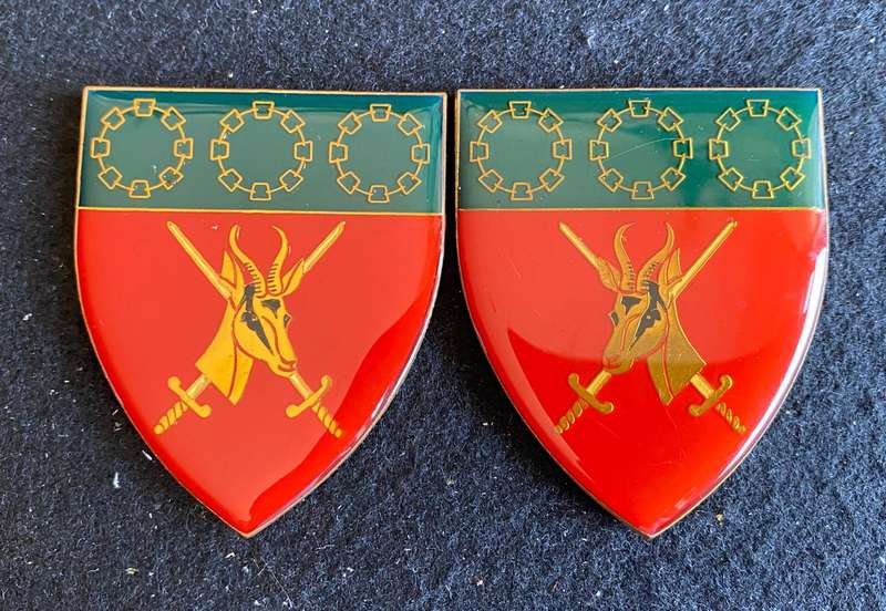 SA ARMY LOGISTIC COMMAND FLASH PAIR-LIGHT BLUE TYPE- NO PINS