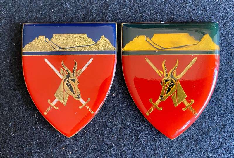 WESTERN PROVINCE COMMAND FLASH PAIR- GOLD TYPE- NO PINS-COLOUR VARIATIONS