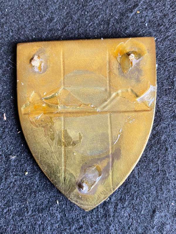 WP COMMAND PRO UNIT-GOLD MOUNTAIN TYPE FLASH- NO PINS