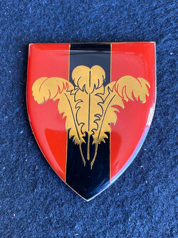 S. CAPE COMMAND PRO UNIT FLASH- NO PINS